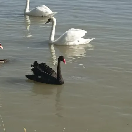 Katera S Appartement